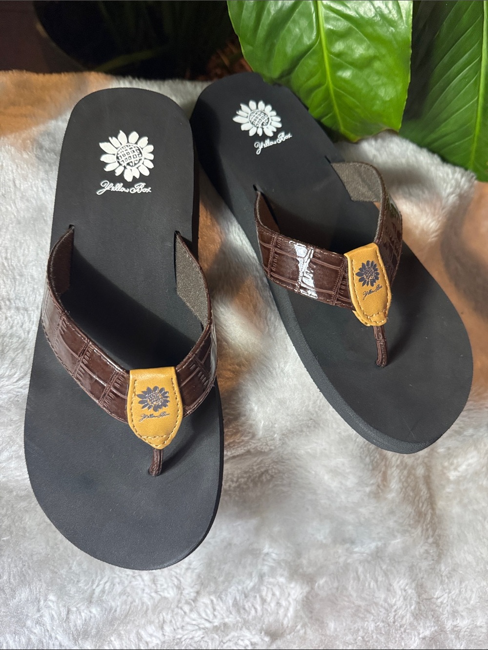 Yellow Box Black Footbed Flip Flops with Brown Croc-Strap Women's Size 8.5